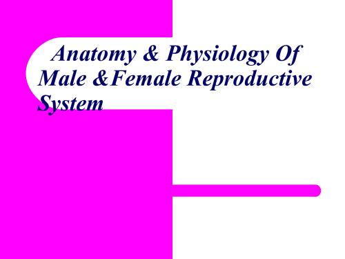 Reproductive system structure  function HAP 2nd Semester B.Pharmacy ,BP101T Human Anatomy and Physiology I,BPharmacy,Handwritten Notes,Important Exam Notes,BPharm 2nd Semester,HAP,