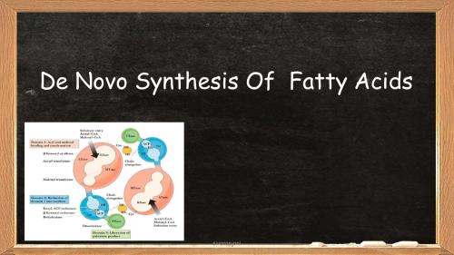 De Novo Synthesis Of Fatty Acids 2nd Semester B.Pharmacy ,BP203T Biochemistry,BPharmacy,Handwritten Notes,Important Exam Notes,BPharm 2nd Semester,Biochemistry,