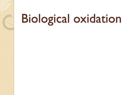 Biological oxidation 2nd Semester B.Pharmacy ,BP203T Biochemistry,BPharmacy,Handwritten Notes,Important Exam Notes,BPharm 2nd Semester,Biochemistry,