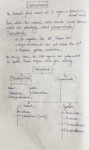 U-IV  (Corticosteroids), Medicinal Chemistry II 5th Semester B.Pharmacy Lecture Notes,BP501T Medicinal Chemistry II,