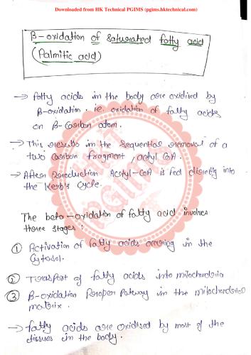 Beta oxidation of saturated fatty acid ( palmitic acid) 2nd Semester B.Pharmacy Lecture Notes,BP203T Biochemistry,Biochemistry,Ram Gopal College of Pharmacy (RGCP),B pharm notes,# pharmacy,