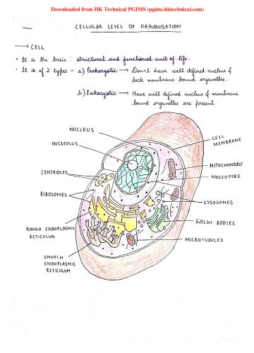 Cell 1st Semester B.Pharmacy Lecture Notes,BP101T Human Anatomy and Physiology I,