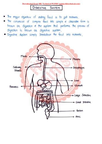 Digestive System  2nd Year B.Pharmacy Lecture Notes,BP201T Human Anatomy and Physiology II,