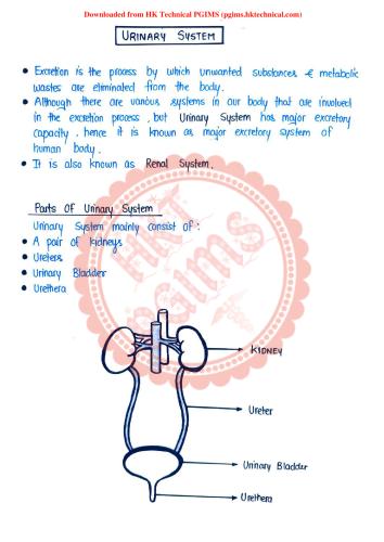 Urinary System 2nd Semester B.Pharmacy Lecture Notes,BP201T Human Anatomy and Physiology II,